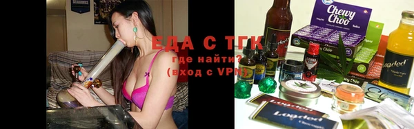 стаф Бородино