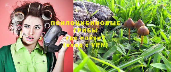 jwh Богородицк