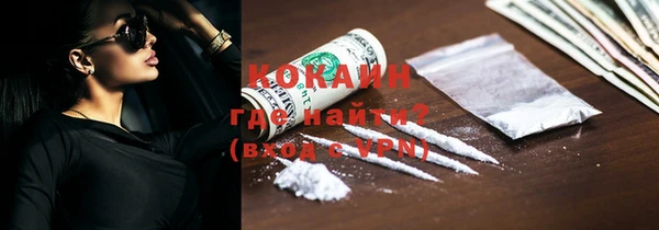 шишки Богданович
