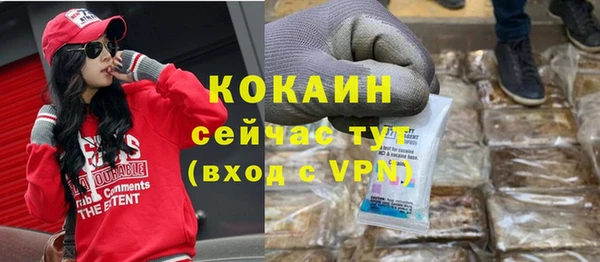 стаф Бородино