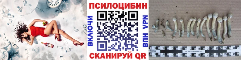 Галлюциногенные грибы Magic Shrooms  Новокузнецк 
